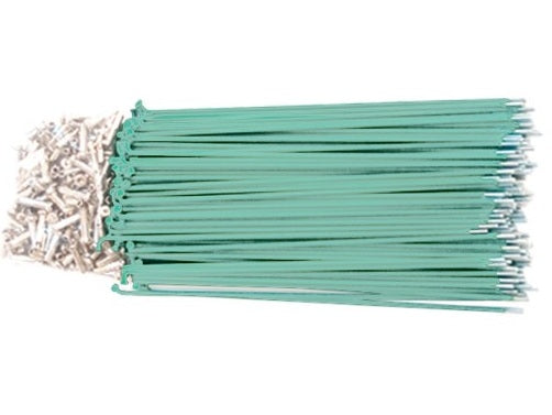 Mint Spokes 14g x 187mm Long - Pack of 144